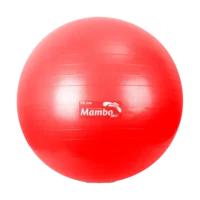 MVS pilates lopta AB Gym Ball crvena 55 cm