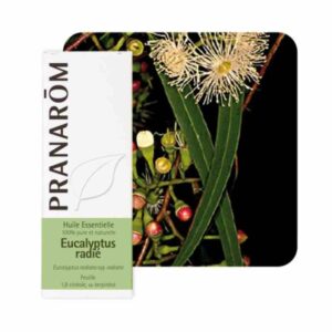 Pranarom - Eucalyptus radiata eterično ulje 10 ml