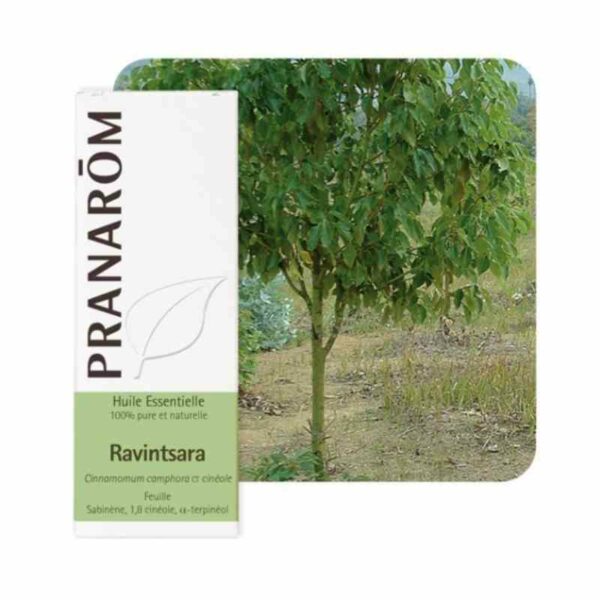 Pranarom Ravensara eterično ulje 10 ml