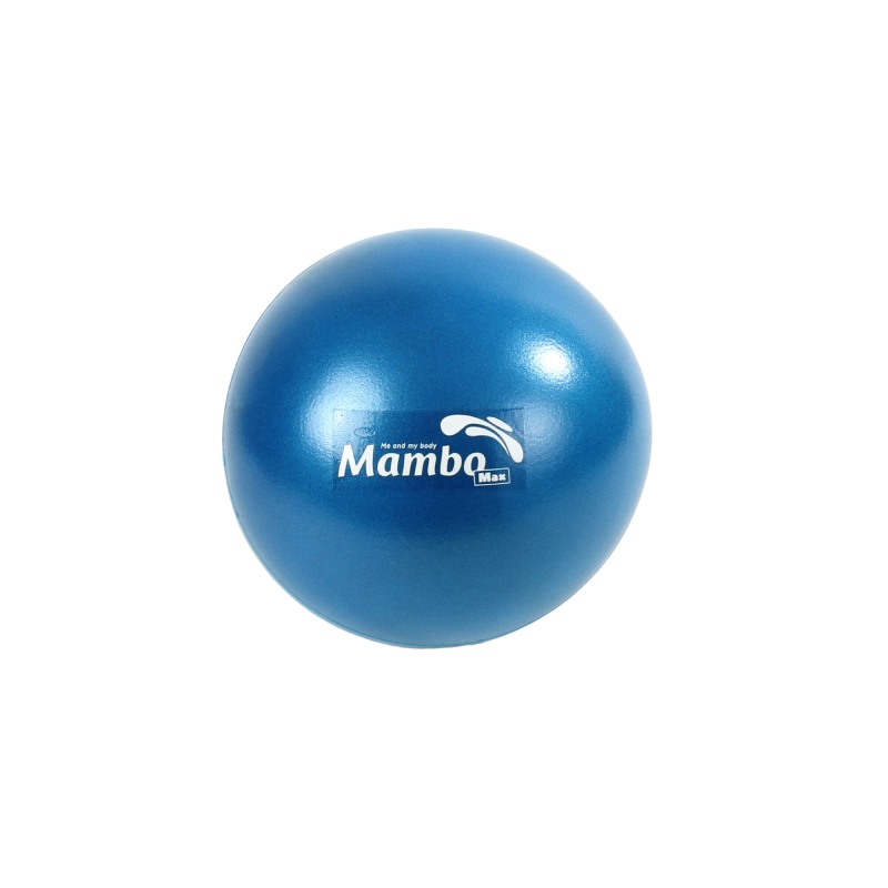 MVS Lopta za vježbanje Mambo 26 cm
