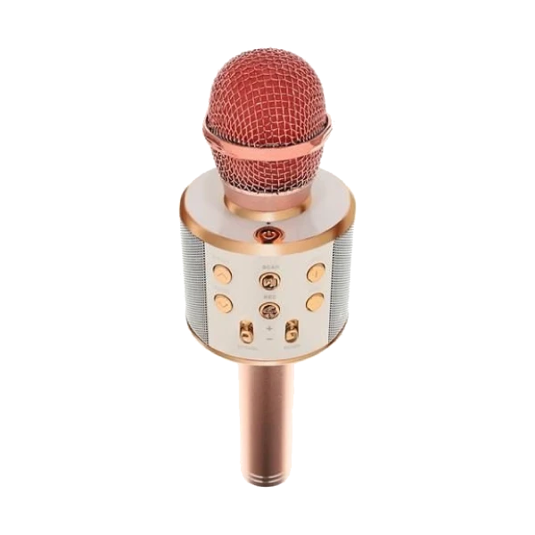 Izoxis karaoke mikrofon roza sa zvučnikom 1